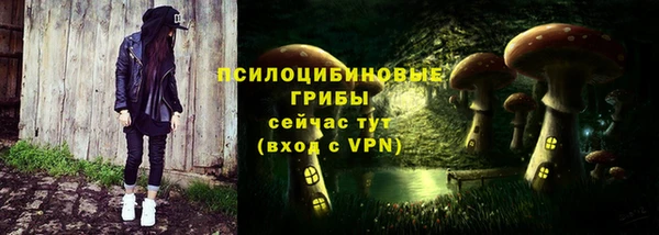 прущая мука Осташков