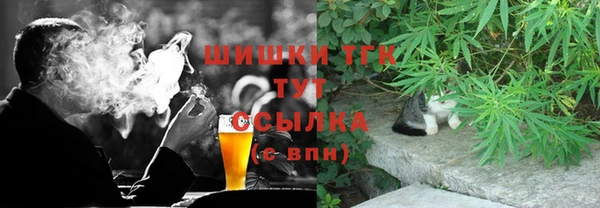 a pvp Пересвет