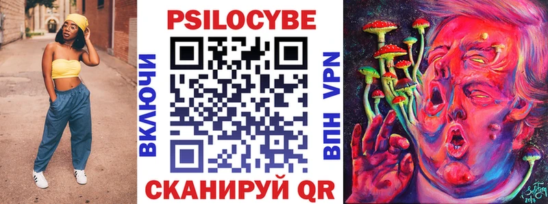 Купить закладки  Калуга  Псилоцибиновые грибы GOLDEN TEACHER 